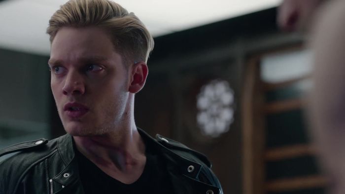 Shadowhunters (37)