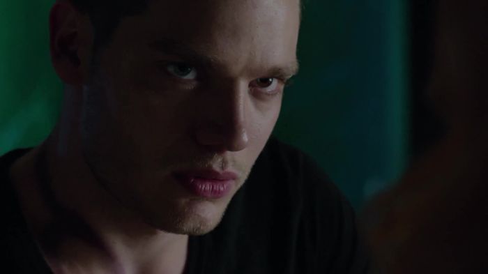 Shadowhunters (39)