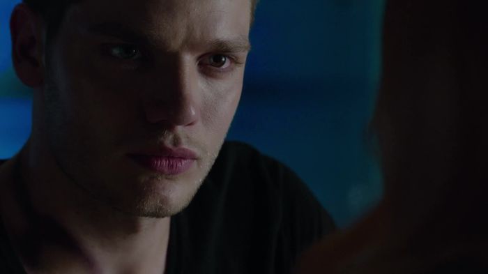 Shadowhunters (40)