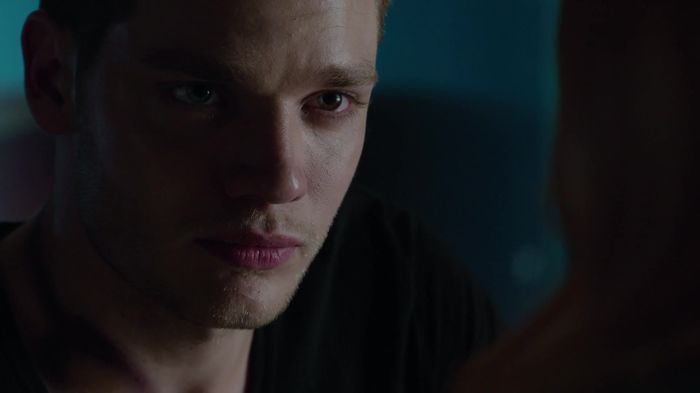 Shadowhunters (41)