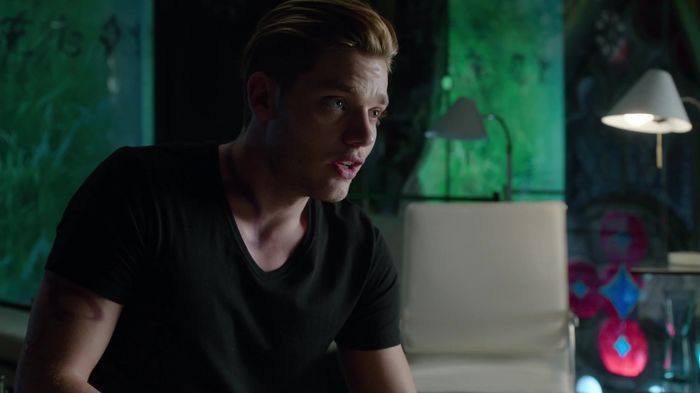 Shadowhunters (43)