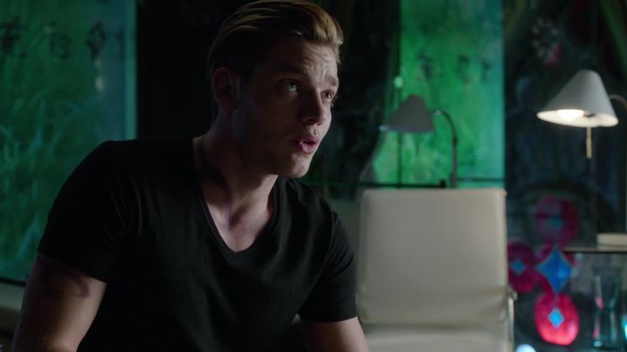 Shadowhunters (44)