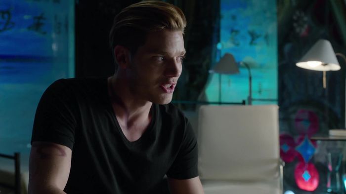Shadowhunters (46)