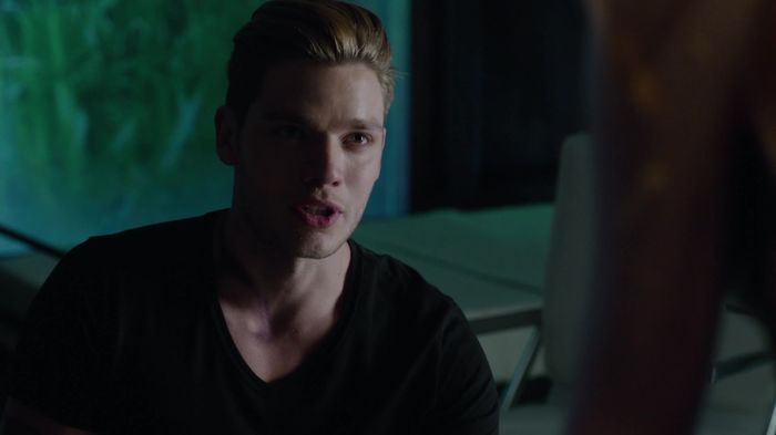 Shadowhunters (47)