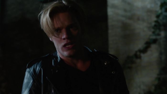 Shadowhunters (54)