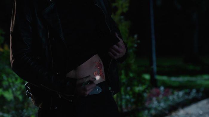 Shadowhunters (55)
