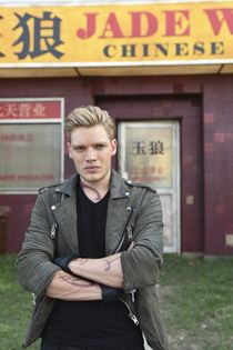 Shadowhunters (103)
