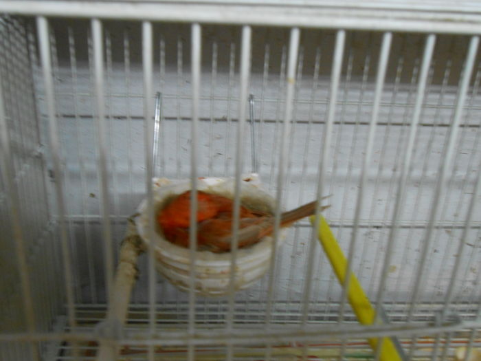 DSCN7988