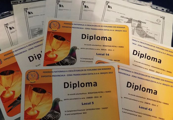 DIPLOME PROVINCIALE - EXPO PROVINCIAL 2015