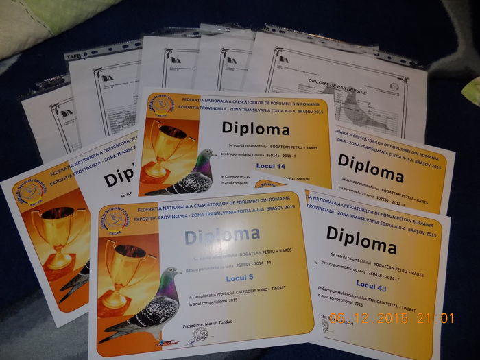 DIPLOME PROVINCIALE 2015