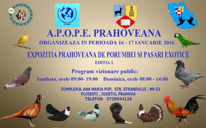  - D-Expozitie APOPE PRAHOVEANA Editia I - ianuarie 2016