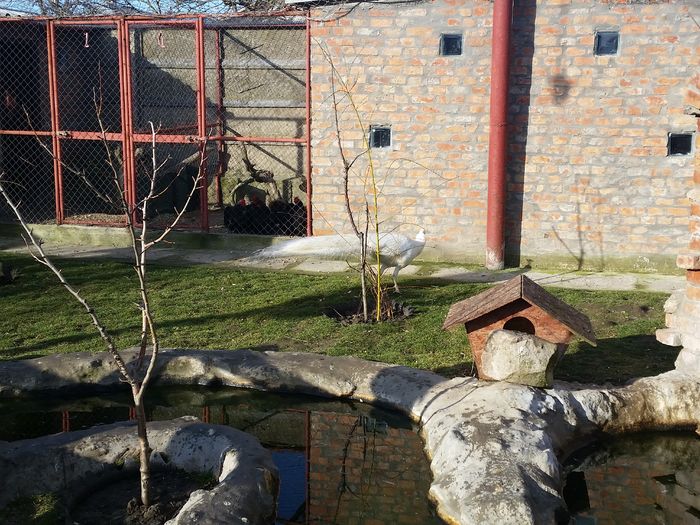20160223_084320