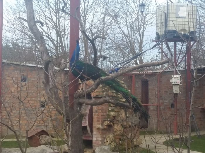 20160223_073336