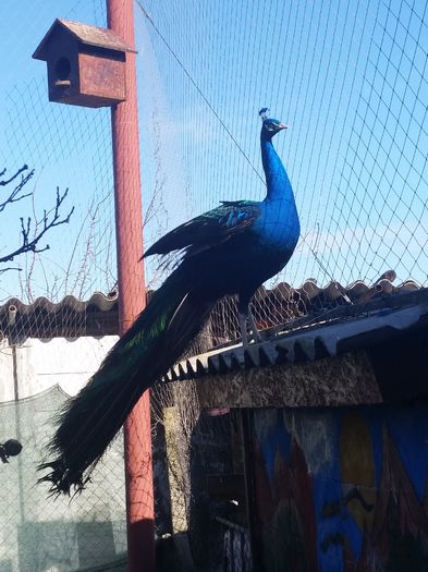 20160223_101356