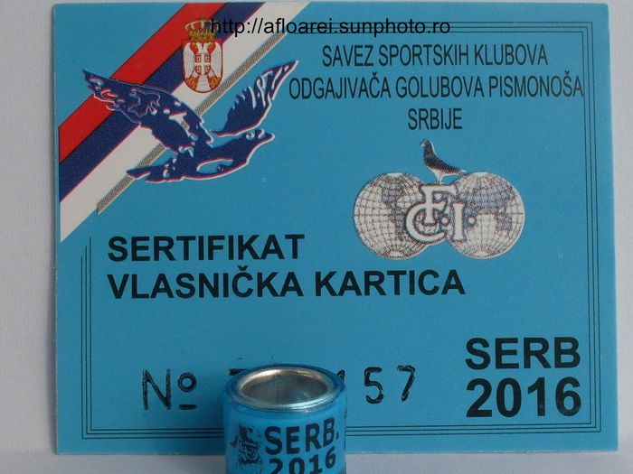 serb 2016 - SERBIA-SERB