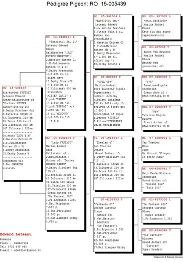 Leteanu-Eduard-RO-005439-2015-pedigree