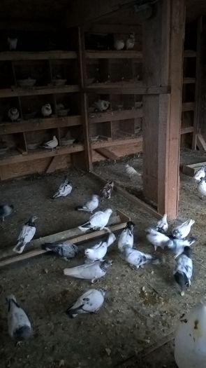 WP_20160221_16_47_07_Pro