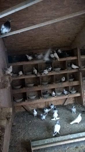 WP_20160221_16_47_33_Pro