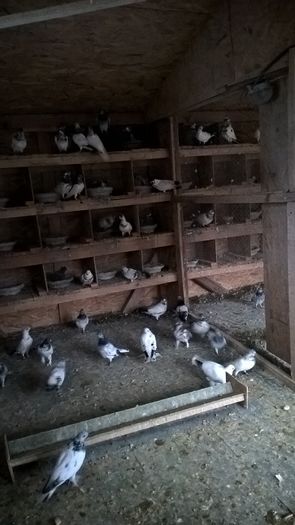 WP_20160221_16_47_43_Pro