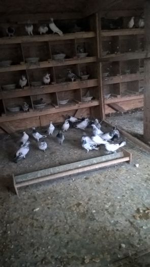 WP_20160221_16_50_40_Pro