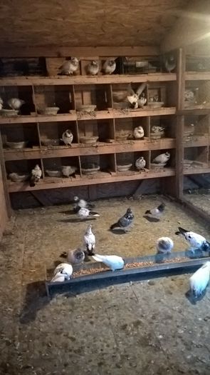 WP_20160221_17_24_37_Pro