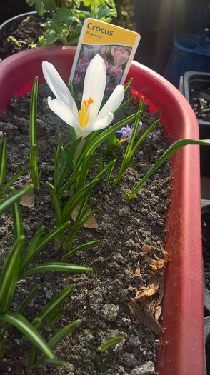 WP_20160223_16_27_59_Pro