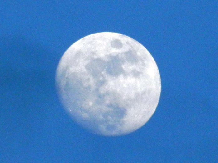 DSCN9153 - 2016_FEBRUARIE 2