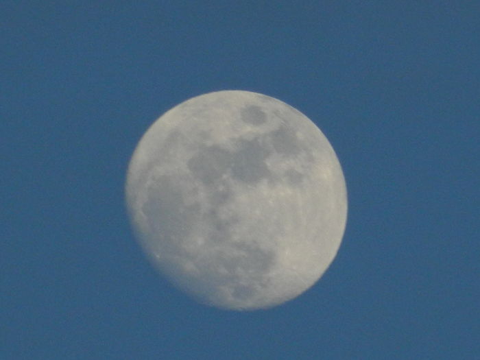 DSCN9164 - 2016_FEBRUARIE 2