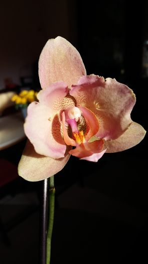20160102_111439