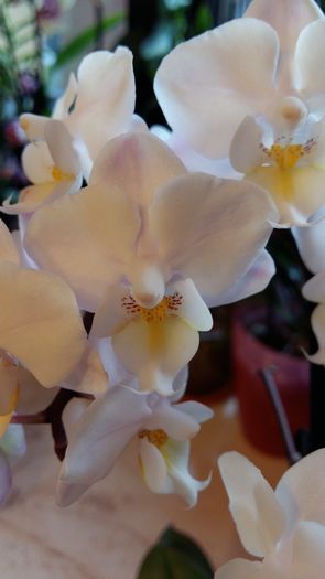 20160128_160550