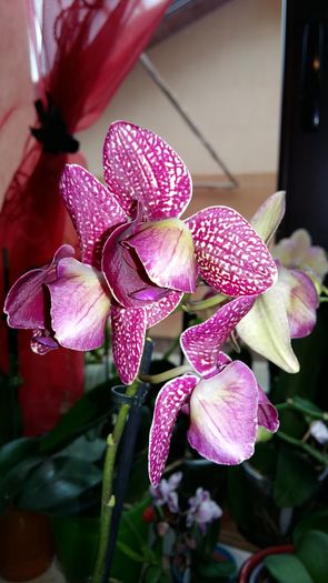 20160129_143153