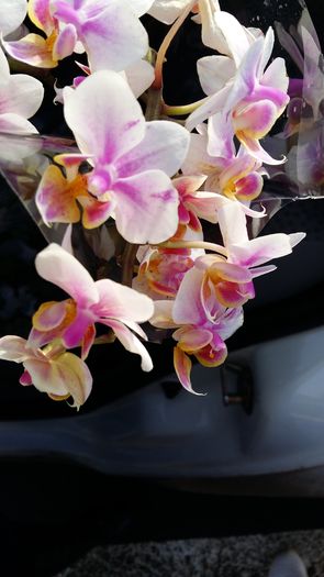 20160205_110652