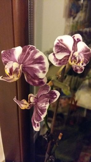 20160208_204134