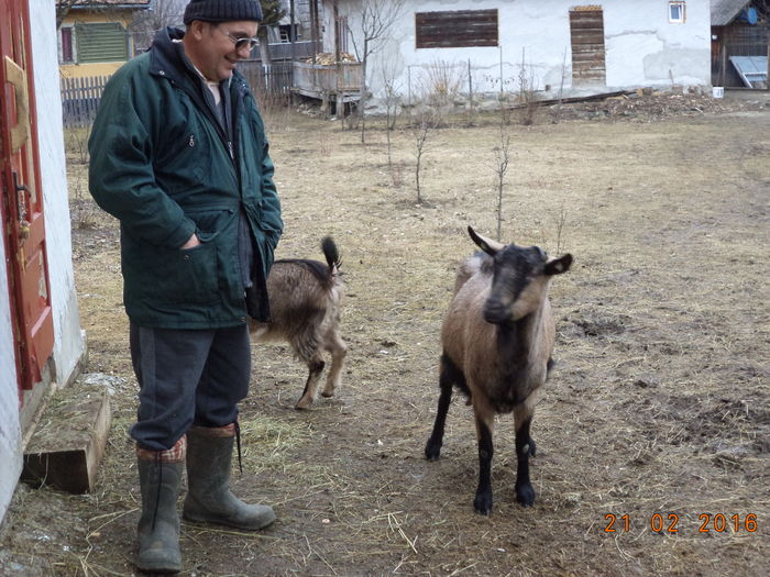 Domnul Pop cu Alpina