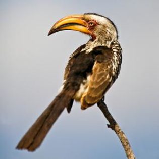 126975_593cc28583112cc0ec215f824a17325a_mdsq