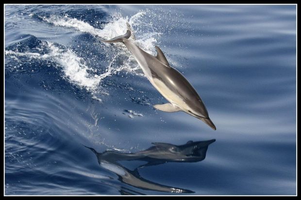 esterne152108581509212839_big