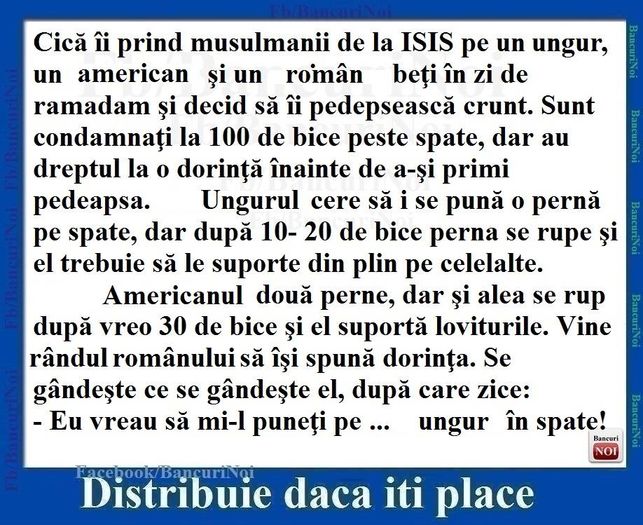 12744508_954786844607184_4181441447874520197_n - Diverse