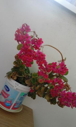20160225_144605