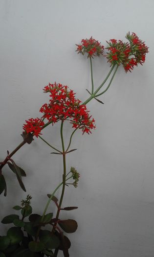 20160225_144931