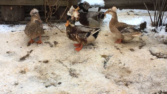 WP_20160225_13_33_24_Pro