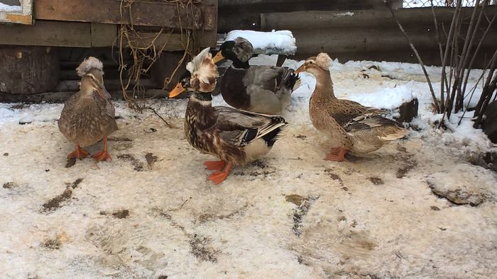 WP_20160225_13_33_26_Pro