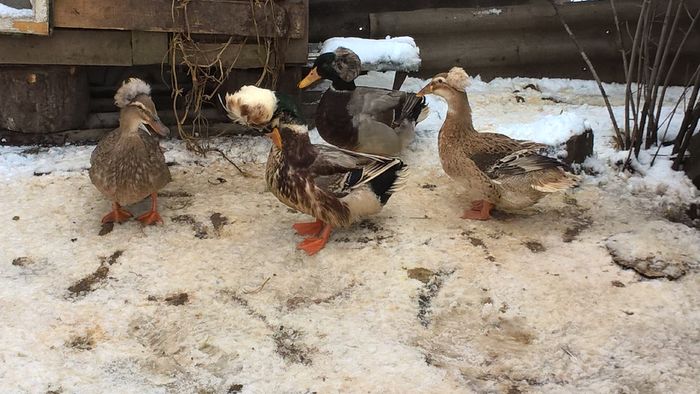 WP_20160225_13_33_30_Pro