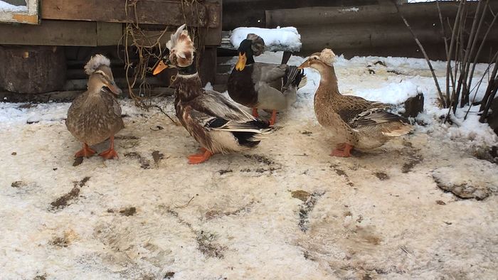 WP_20160225_13_33_32_Pro