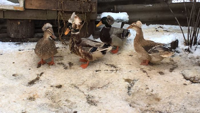 WP_20160225_13_33_35_Pro