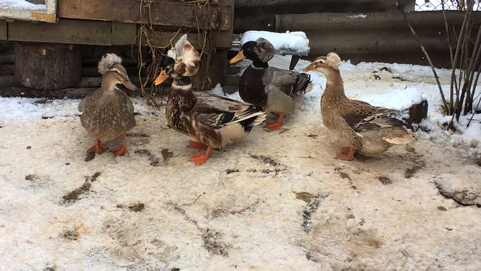 WP_20160225_13_33_39_Pro