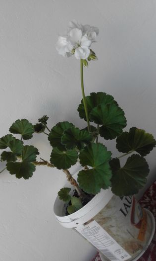 20160225_163556