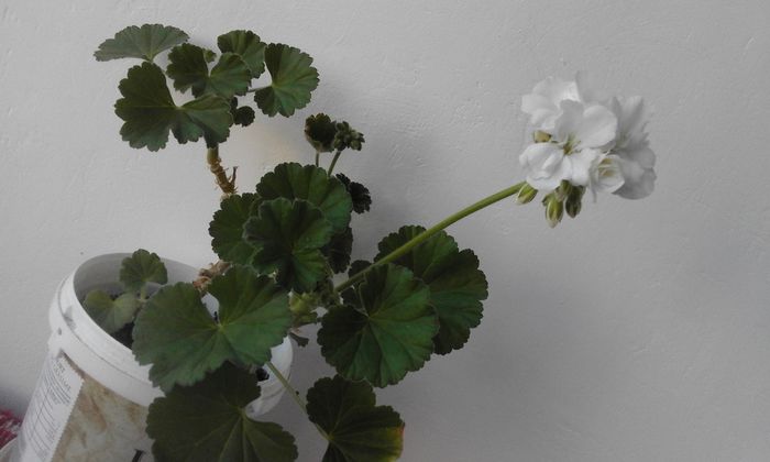 20160225_163651