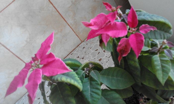 20160225_164233