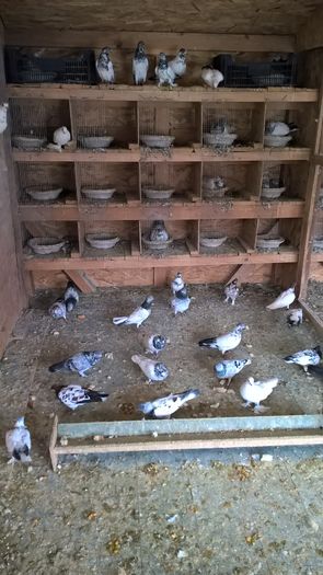 WP_20160225_13_37_36_Pro