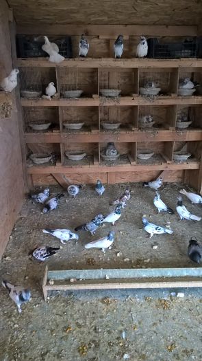 WP_20160225_13_37_44_Pro